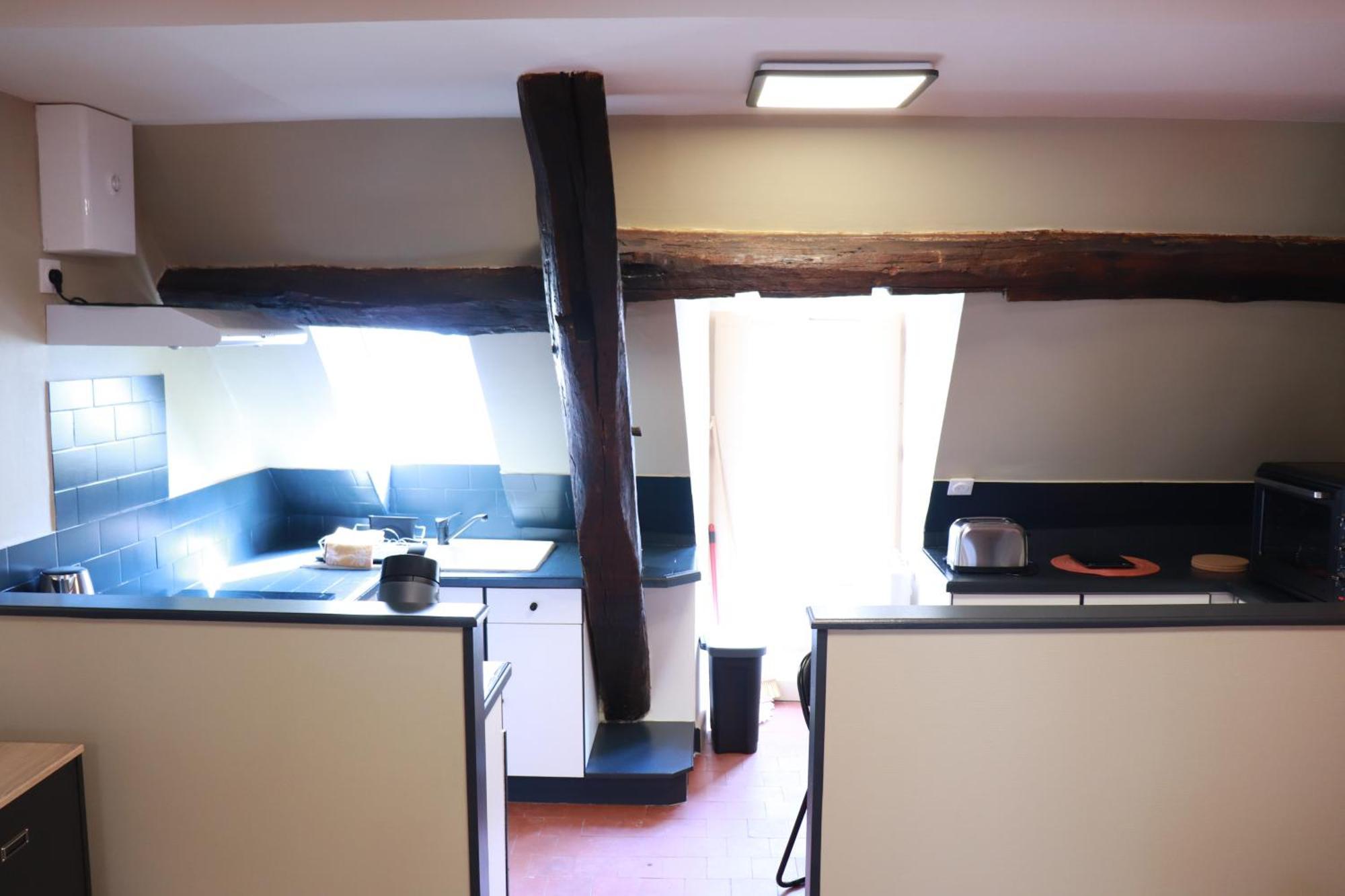 Sejour Tout Confort En Plein Coeur De Nevers, Studios Galet-Carbone Ou Terra Cotta エクステリア 写真